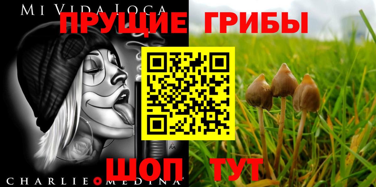 Галлюциногенные грибы Psilocybe  Галлюциногенные грибы Psilocybine cubensis  Вход с VPN  Бугульма 